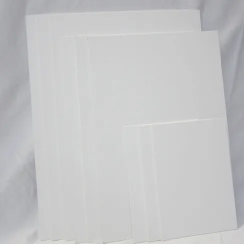 Canvas Panel