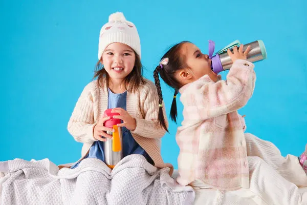 Insulated Spout Bottle 500ml   Lunch box Purple