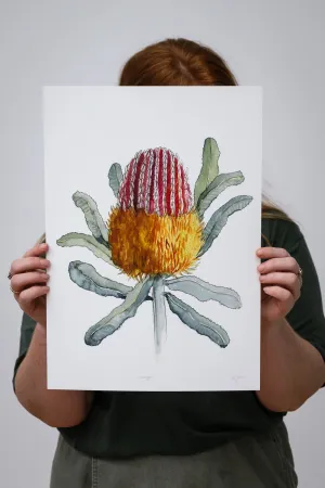 Menzie Giclée Print