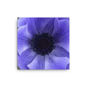 "Catching the blue wave" Blue Flower Canvas